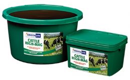 Crystalyx Cattle High Mag